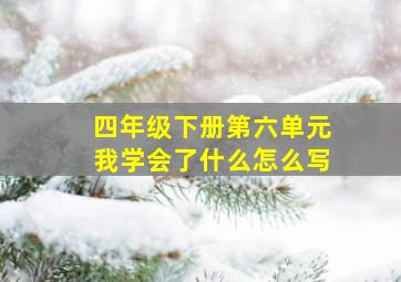 四年级下册第六单元我学会了什么怎么写