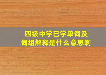 四级中学已学单词及词组解释是什么意思啊