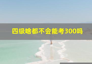 四级啥都不会能考300吗