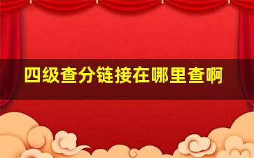 四级查分链接在哪里查啊