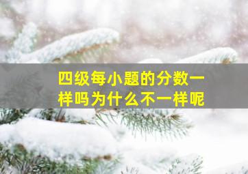 四级每小题的分数一样吗为什么不一样呢