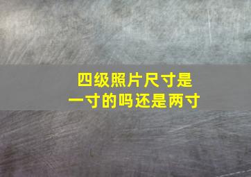 四级照片尺寸是一寸的吗还是两寸