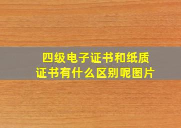 四级电子证书和纸质证书有什么区别呢图片