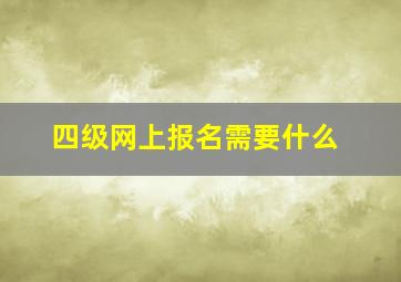 四级网上报名需要什么