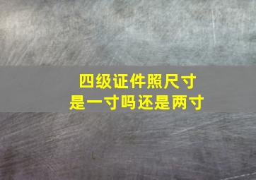 四级证件照尺寸是一寸吗还是两寸