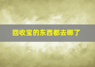 回收宝的东西都去哪了