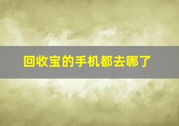 回收宝的手机都去哪了