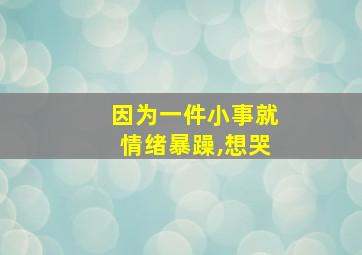 因为一件小事就情绪暴躁,想哭