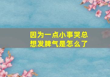 因为一点小事哭总想发脾气是怎么了