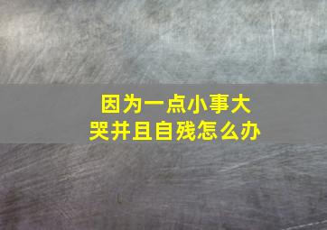 因为一点小事大哭并且自残怎么办