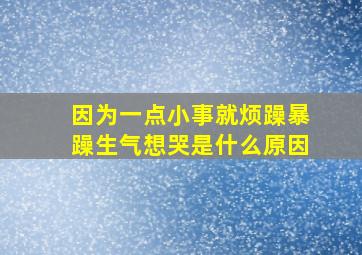 因为一点小事就烦躁暴躁生气想哭是什么原因