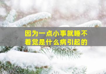 因为一点小事就睡不着觉是什么病引起的