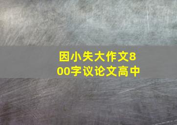 因小失大作文800字议论文高中