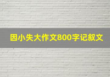 因小失大作文800字记叙文