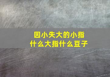 因小失大的小指什么大指什么豆子