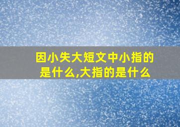 因小失大短文中小指的是什么,大指的是什么