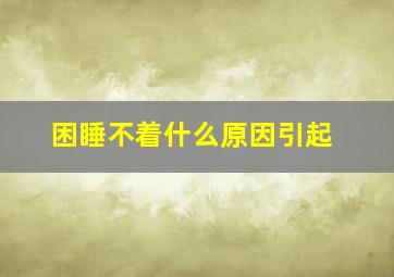 困睡不着什么原因引起