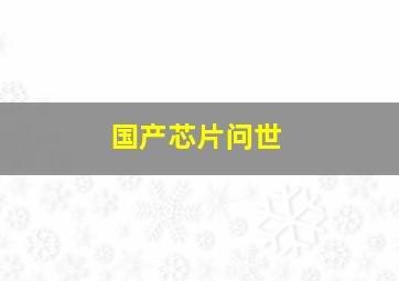 国产芯片问世