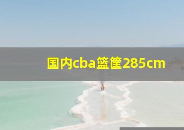 国内cba篮筐285cm