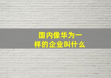 国内像华为一样的企业叫什么