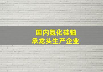 国内氮化硅轴承龙头生产企业