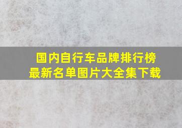 国内自行车品牌排行榜最新名单图片大全集下载