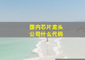 国内芯片龙头公司什么代码