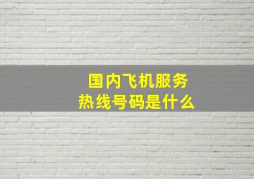 国内飞机服务热线号码是什么