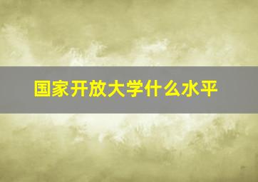 国家开放大学什么水平