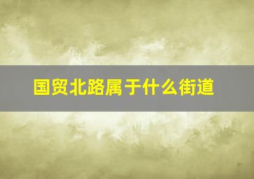 国贸北路属于什么街道