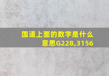 国道上面的数字是什么意思G228,3156