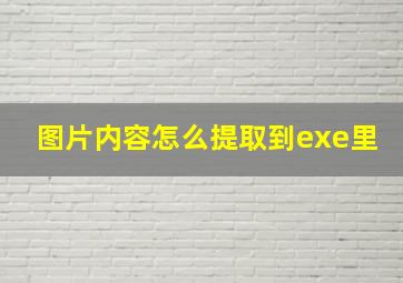 图片内容怎么提取到exe里