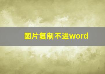 图片复制不进word