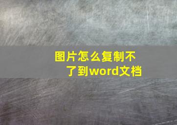 图片怎么复制不了到word文档