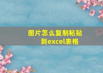 图片怎么复制粘贴到excel表格