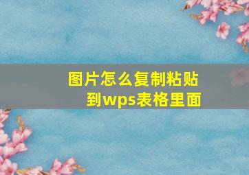 图片怎么复制粘贴到wps表格里面