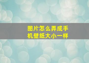 图片怎么弄成手机壁纸大小一样