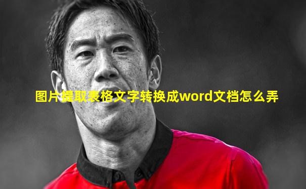 图片提取表格文字转换成word文档怎么弄