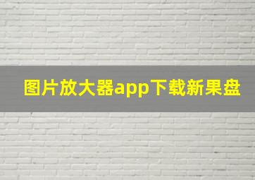 图片放大器app下载新果盘