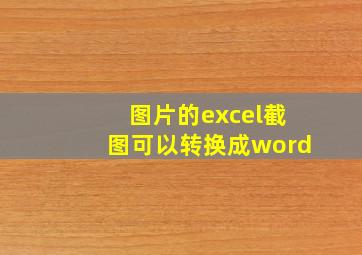 图片的excel截图可以转换成word