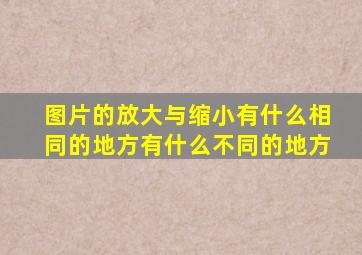 图片的放大与缩小有什么相同的地方有什么不同的地方