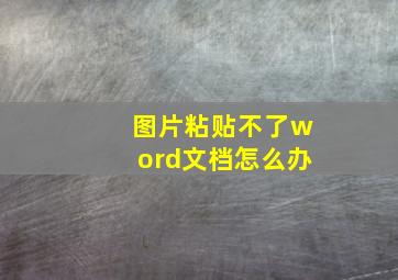 图片粘贴不了word文档怎么办