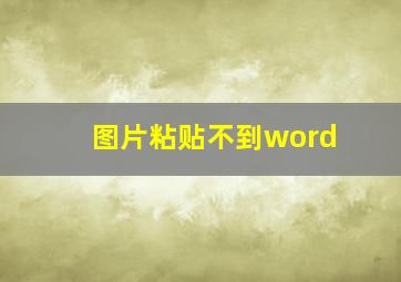 图片粘贴不到word