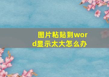 图片粘贴到word显示太大怎么办