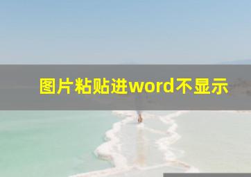 图片粘贴进word不显示