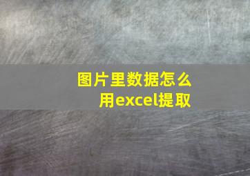 图片里数据怎么用excel提取