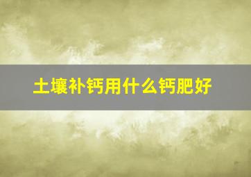 土壤补钙用什么钙肥好