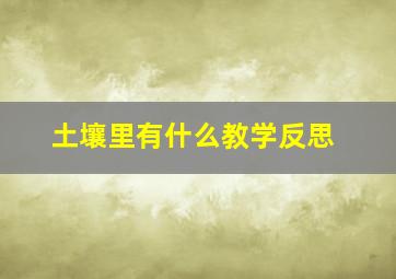 土壤里有什么教学反思