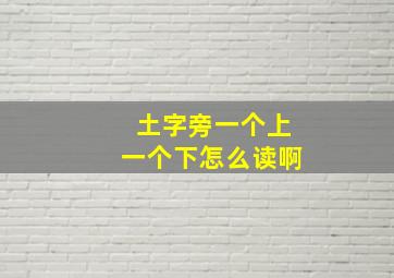 土字旁一个上一个下怎么读啊