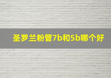 圣罗兰粉管7b和5b哪个好